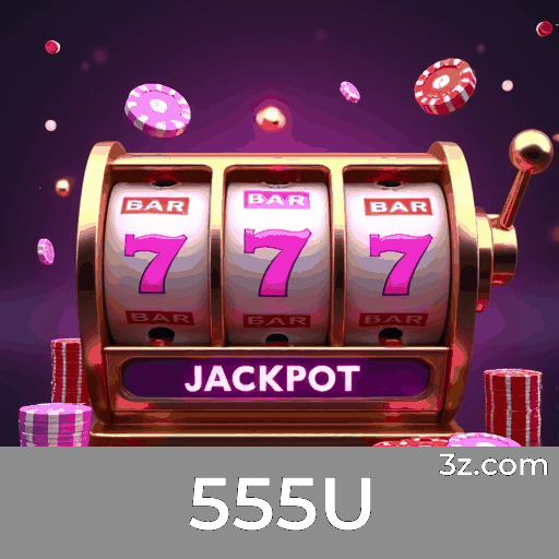 555U: A Plataforma de Apostas com Serviços Profissionais